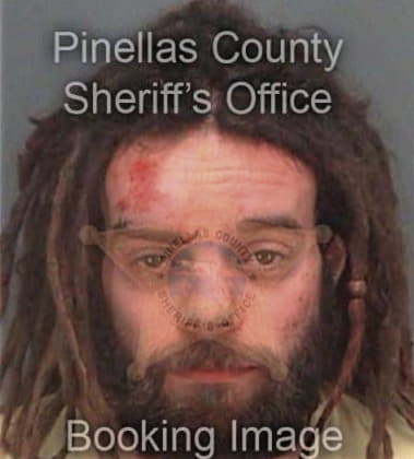 Bassim Elsamaloty, - Pinellas County, FL 