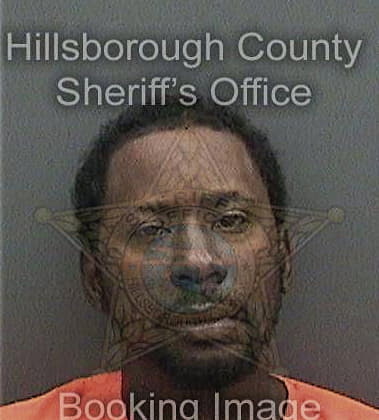 Joar Michel - Hillsborough County, FL 
