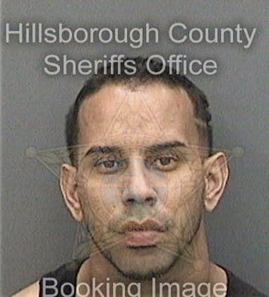 Richard Pelt, - Hillsborough County, FL 