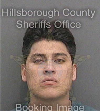 Erick Ruiznunez, - Hillsborough County, FL 