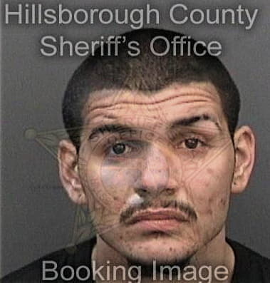 Alfredo Santizhernandez, - Hillsborough County, FL 