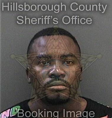 Reginald Williams, - Hillsborough County, FL 