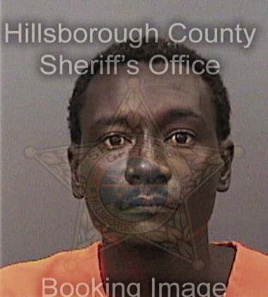 Anthony Andreu, - Hillsborough County, FL 