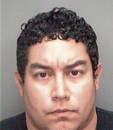 Eugenio Hernandez, - Pinellas County, FL 