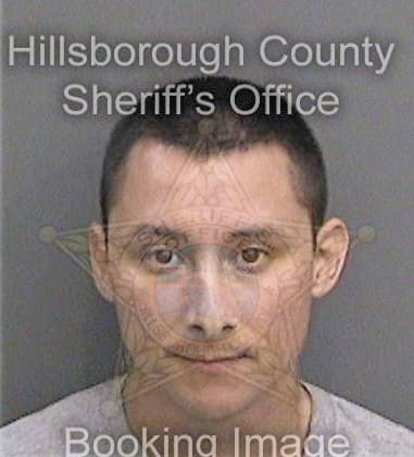 Jaime Martineznegron, - Hillsborough County, FL 