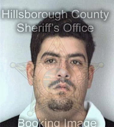 Douglas Mavity - Hillsborough County, FL 