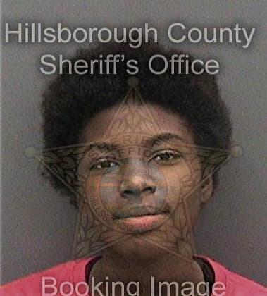 Alexsis Morris, - Hillsborough County, FL 