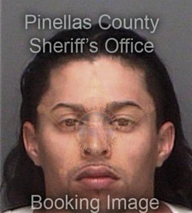 Johnny Nunez, - Pinellas County, FL 