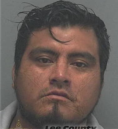 Vladiuir Nunez, - Lee County, FL 