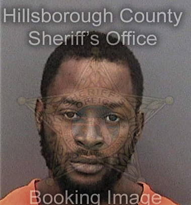 Steven Patterson, - Hillsborough County, FL 