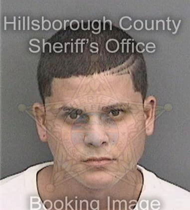 Brook Cumbess, - Hillsborough County, FL 