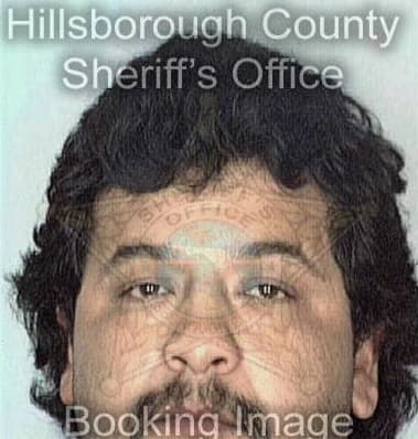 Albo Davanzo, - Hillsborough County, FL 