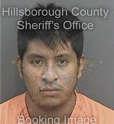 Michael Jenkins, - Hillsborough County, FL 