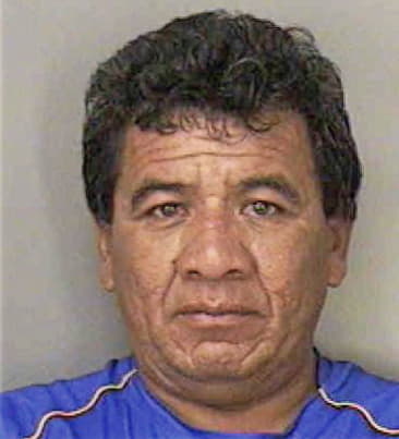 Apolinar Medina - Polk County, FL 