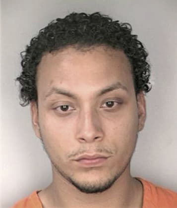 Gerardo Rodolfo, - Hillsborough County, FL 