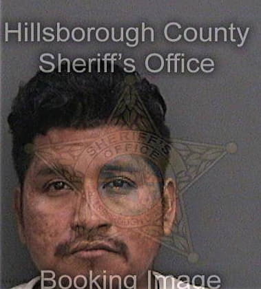 Pedro Sanchez, - Hillsborough County, FL 