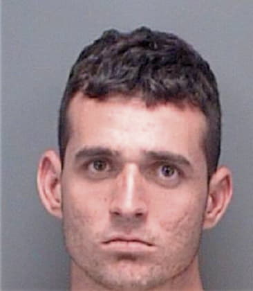 Stephen Savercool, - Pinellas County, FL 