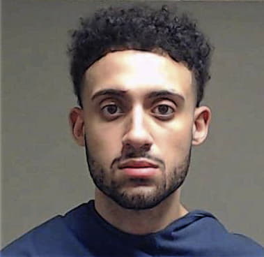 Aliakbar Shayeganimostaghim - Collin County, TX 
