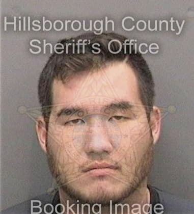 Ramzi Almasri, - Hillsborough County, FL 