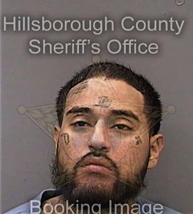 Matthew Chase - Hillsborough County, FL 
