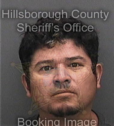 Brian Christie - Hillsborough County, FL 