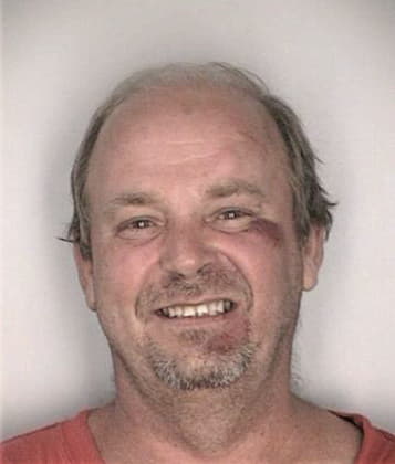 Raul Hernandezguzman - Hillsborough County, FL 