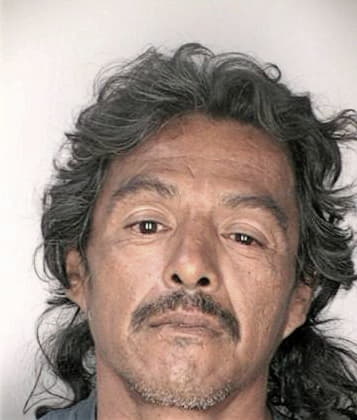 Salvador Hernandezsanchez - Hillsborough County, FL 