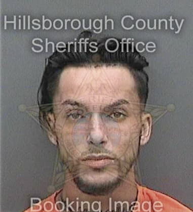 Anthony Higa, - Hillsborough County, FL 