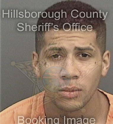 Reginald Howard, - Hillsborough County, FL 