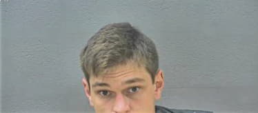 Nathaniel McGuire, - Bedford County, VA 