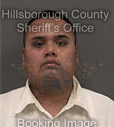 Bryan Romero, - Hillsborough County, FL 