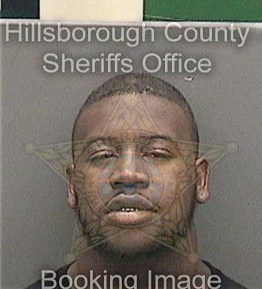 Michael Stocking, - Hillsborough County, FL 