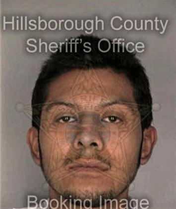 Michael Avalos, - Hillsborough County, FL 