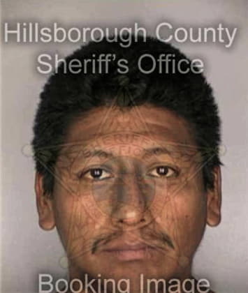 Leonardo Concepcion, - Hillsborough County, FL 