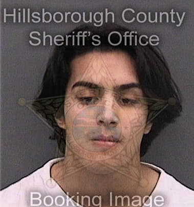 David Estradagarcia, - Hillsborough County, FL 