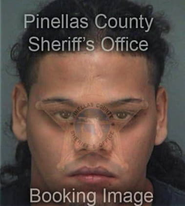 Jose Gervacioflores, - Pinellas County, FL 