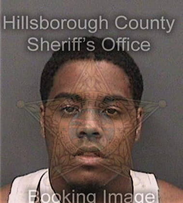 Timothy Lewis, - Hillsborough County, FL 