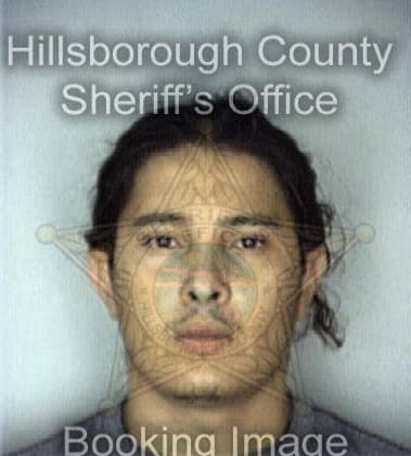 Stanley Miles - Hillsborough County, FL 