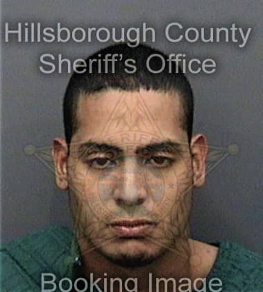 Joel Ortiz, - Hillsborough County, FL 