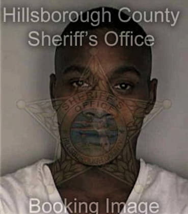 Theodore Roberts - Hillsborough County, FL 