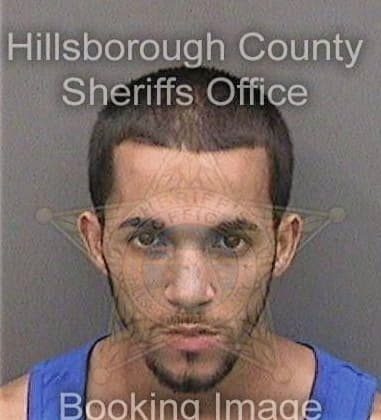 Timothy Strunk, - Hillsborough County, FL 