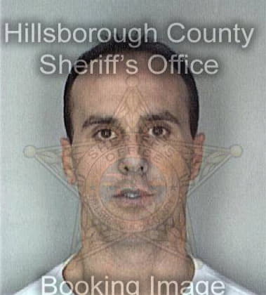 Gregory Ehlers, - Hillsborough County, FL 