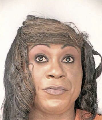 Michael McDaniels - Hillsborough County, FL 