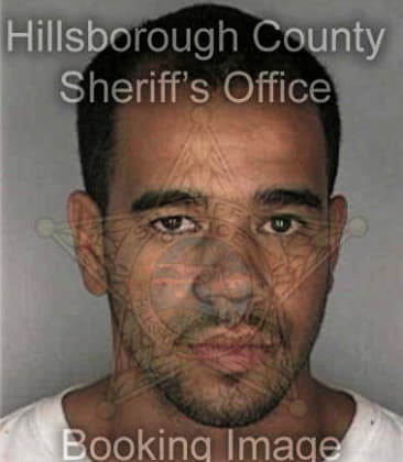 Julio Mosguera, - Hillsborough County, FL 