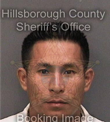 Anthony Odell, - Hillsborough County, FL 