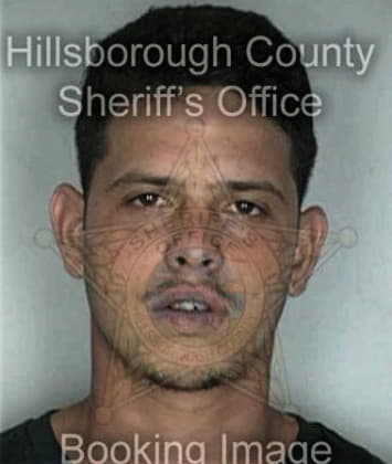 Carlos Rodriguez, - Hillsborough County, FL 