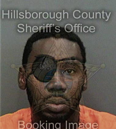 Telvin Wright, - Hillsborough County, FL 