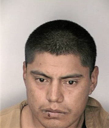 Desiderio Hernandez - Hillsborough County, FL 
