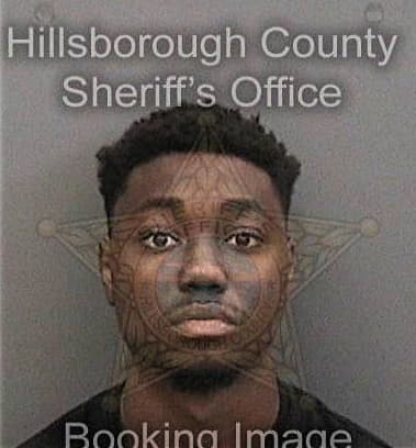 Ray Johnson, - Hillsborough County, FL 