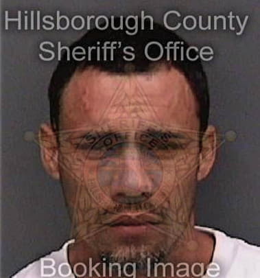 Christopher McGowan - Hillsborough County, FL 